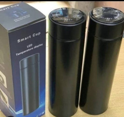 Temperature Display Indicator Insulated Stainless Steel Hot & Cold Flask Bottle (random Color)